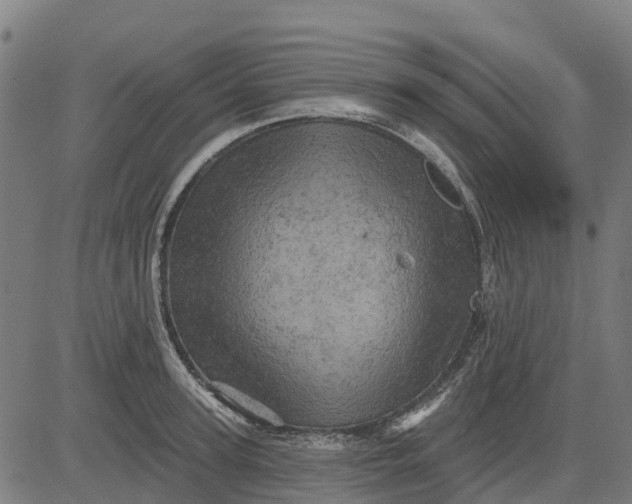 X0000084560947200703091742