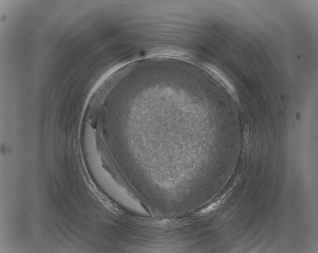 X0000084560948200703091742