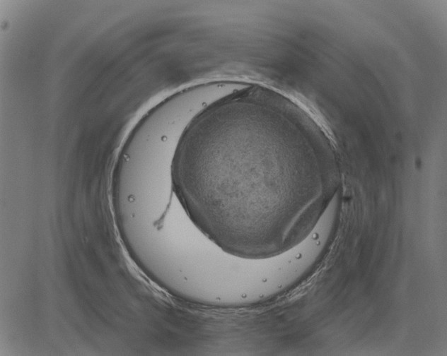 X0000084560950200703091742