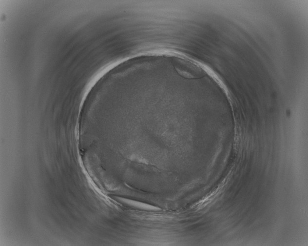 X0000084560951200703091742