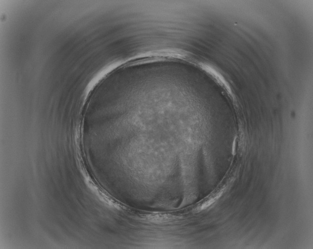 X0000084560952200703091742