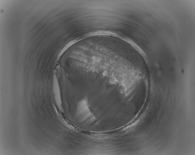 X0000084560953200703091742