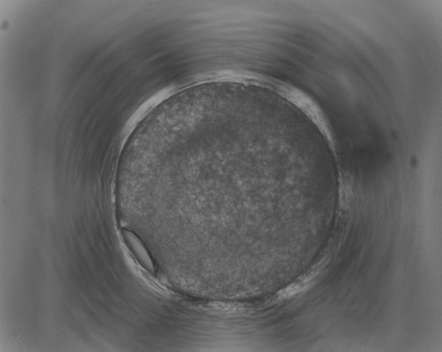 X0000084560954200703091742