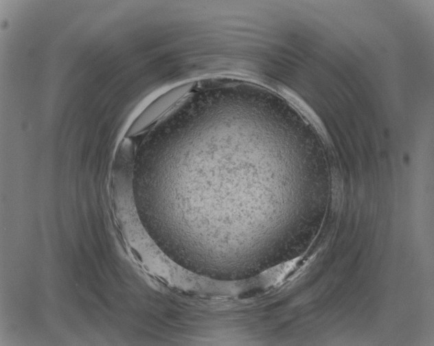 X0000084560956200703091742