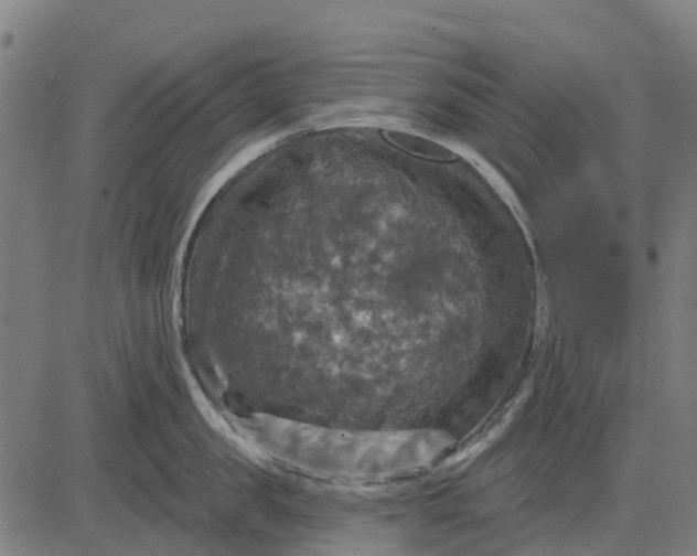 X0000084560957200703091742