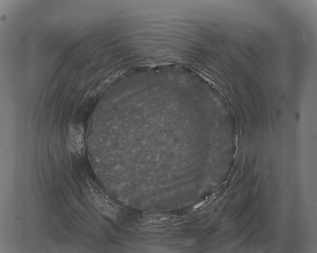 X0000084560963200703091741