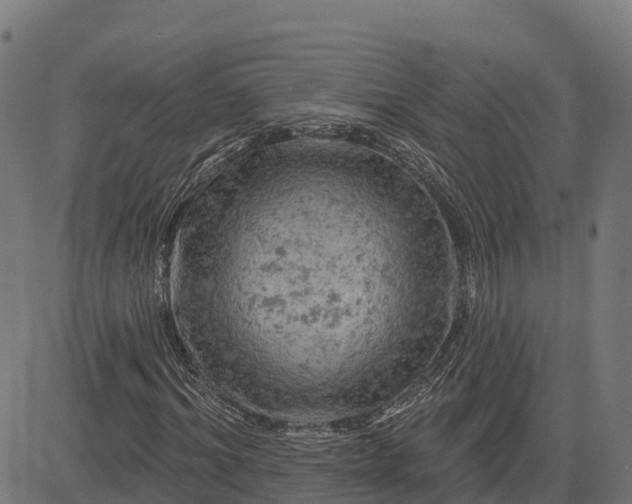 X0000084560964200703091741