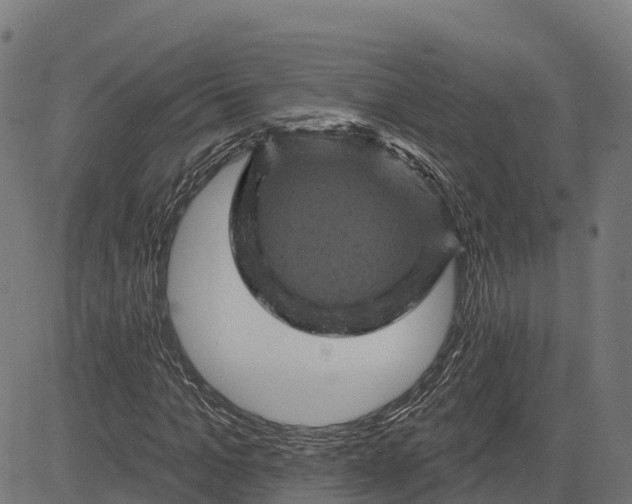 X0000084560965200703091741