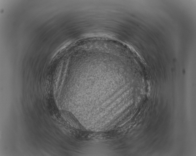 X0000084560967200703091741