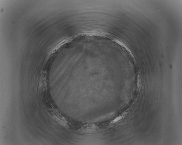 X0000084560968200703091741