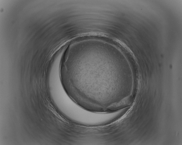 X0000084560969200703091741