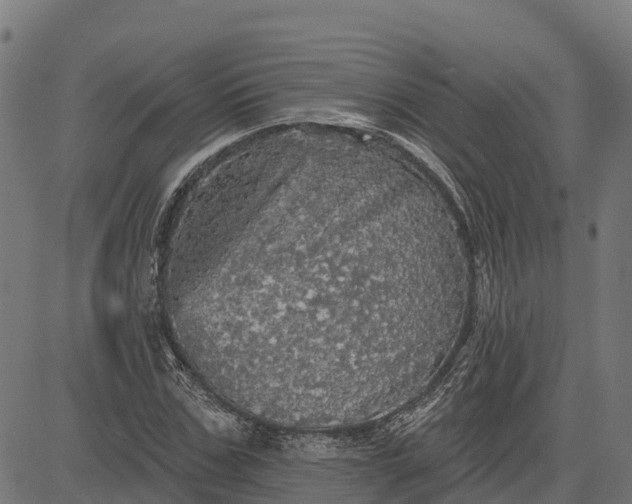 X0000084560971200703091741