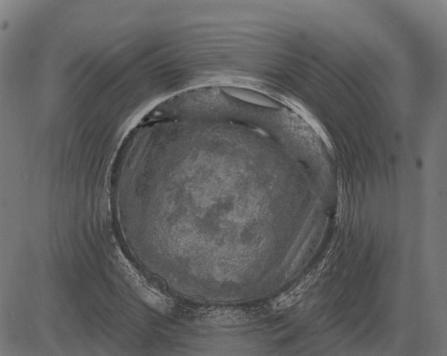 X0000084560972200703091741