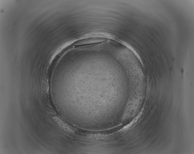 X0000084560973200703091741