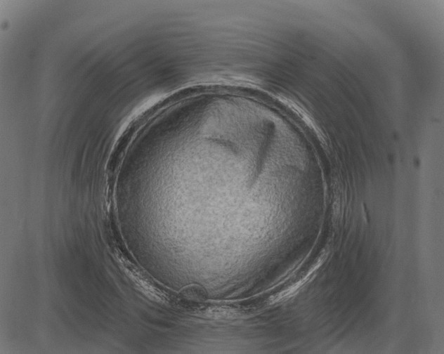 X0000084560974200703091741