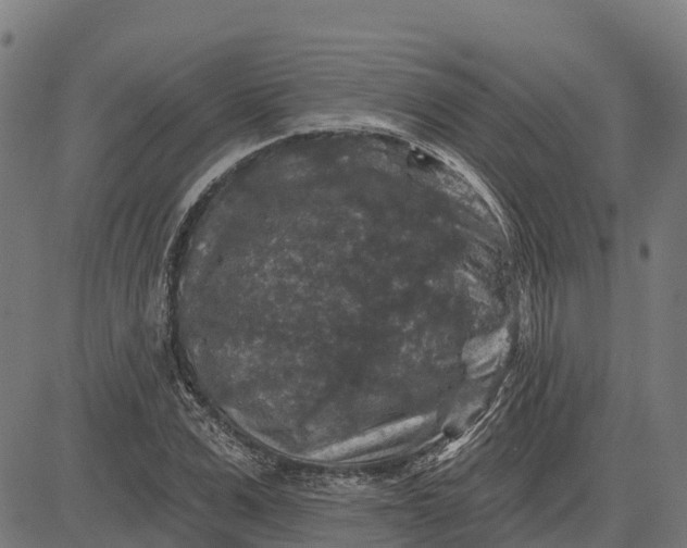 X0000084560975200703091741