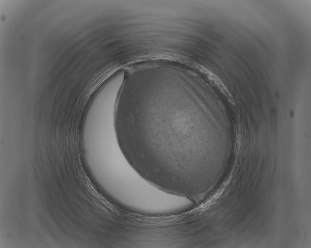 X0000084560977200703091741