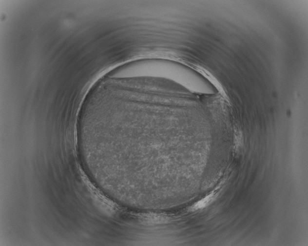 X0000084560980200703091741