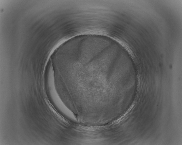 X0000084560982200703091741