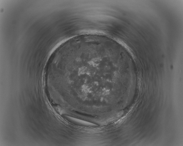 X0000084560983200703091741