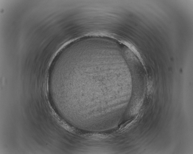 X0000084560984200703091741