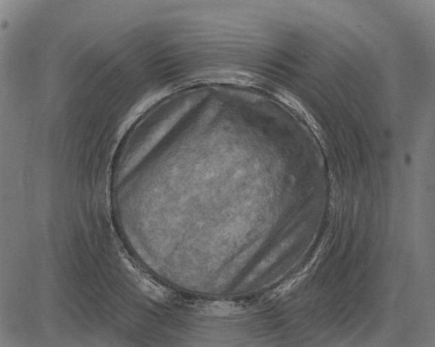 X0000084560986200703091741