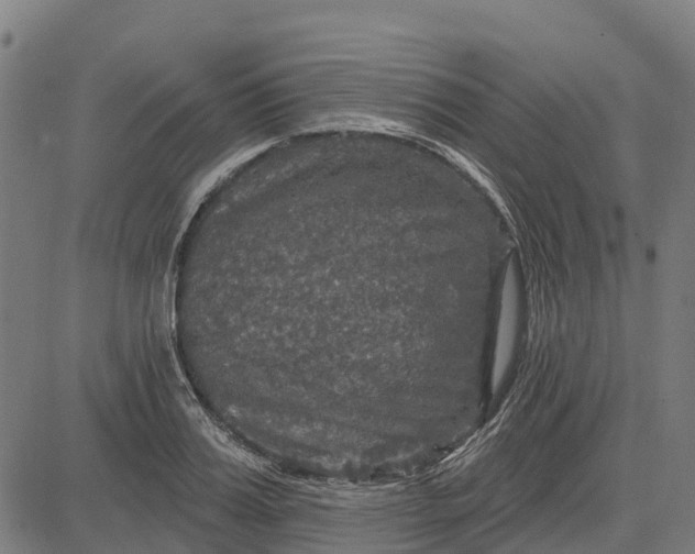 X0000084560987200703091740