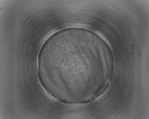 X0000084560988200703091740