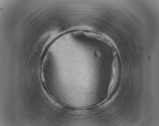 X0000084560989200703091740