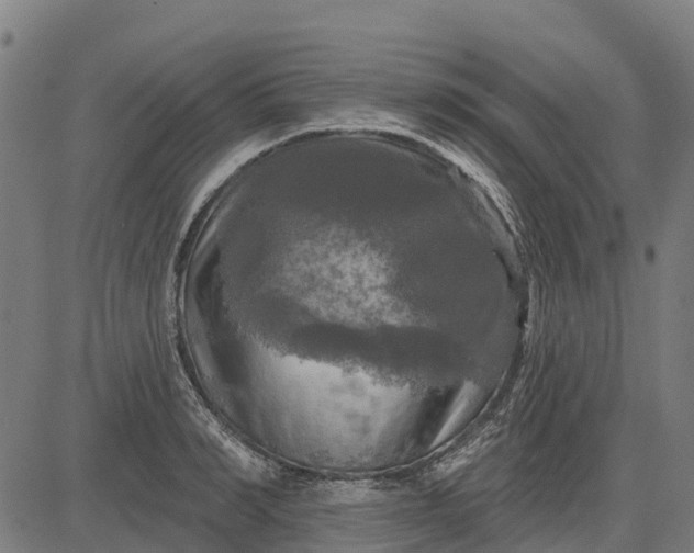 X0000084560990200703091740