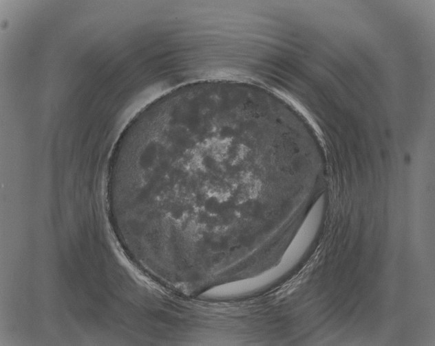 X0000084560991200703091740