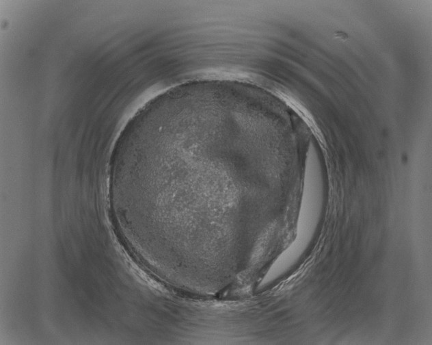 X0000084560992200703091740