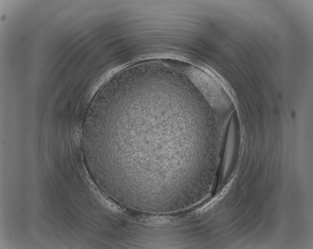 X0000084560993200703091740