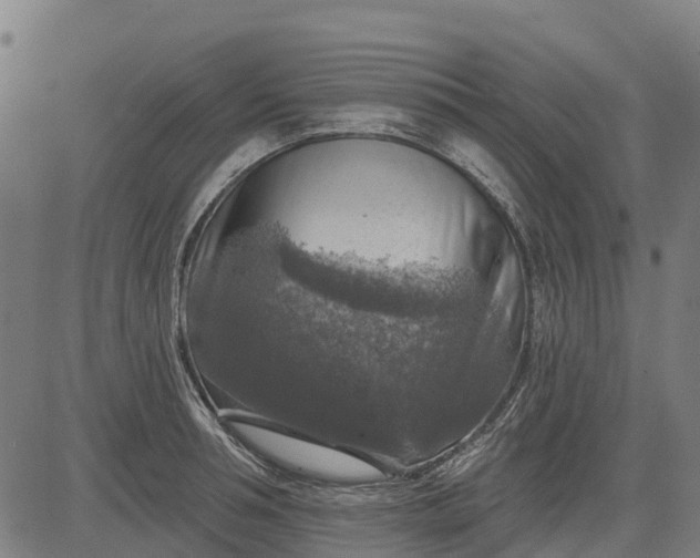 X0000084560994200703091740