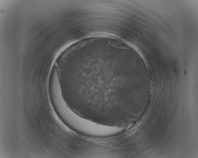 X0000084560995200703091740