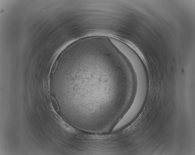 X0000084560996200703091740