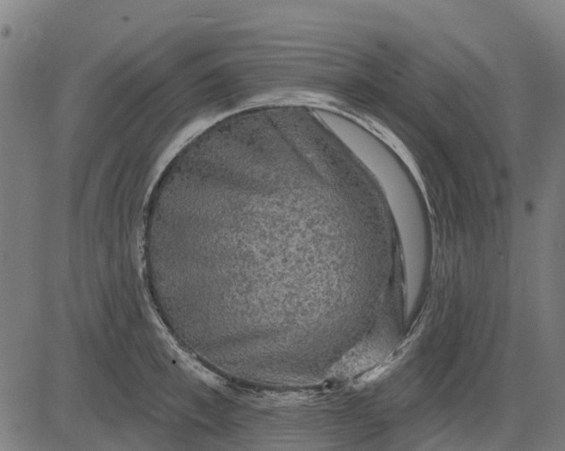 X0000084560997200703091740