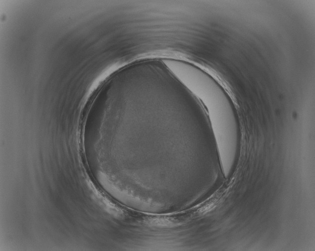 X0000084560998200703091740