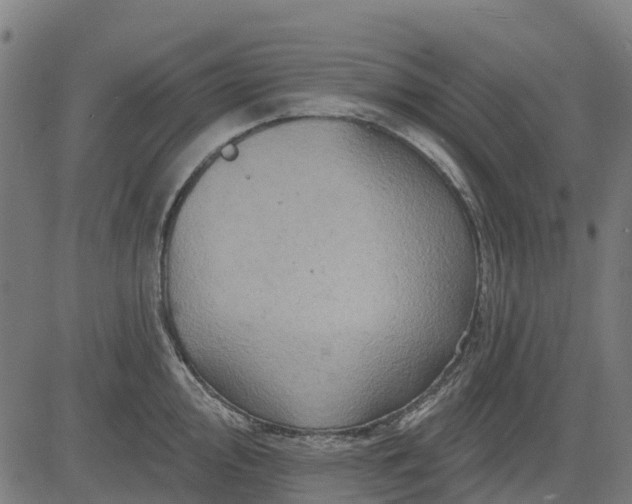 X0000084561000200703091740