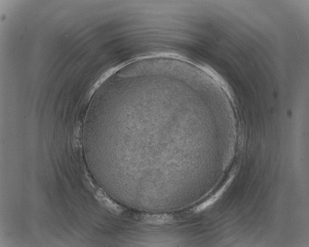 X0000084561001200703091740