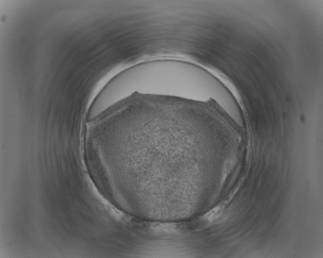 X0000084561006200703091740