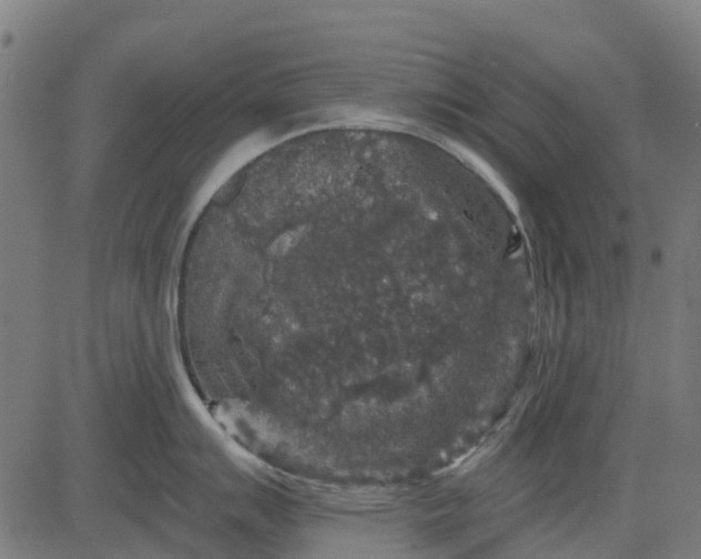 X0000084561007200703091740