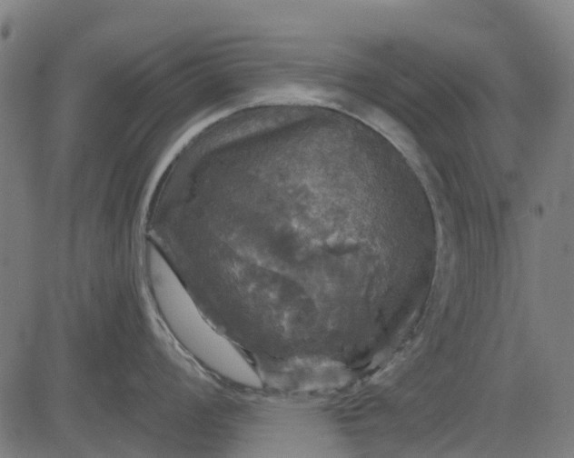 X0000084561008200703091740