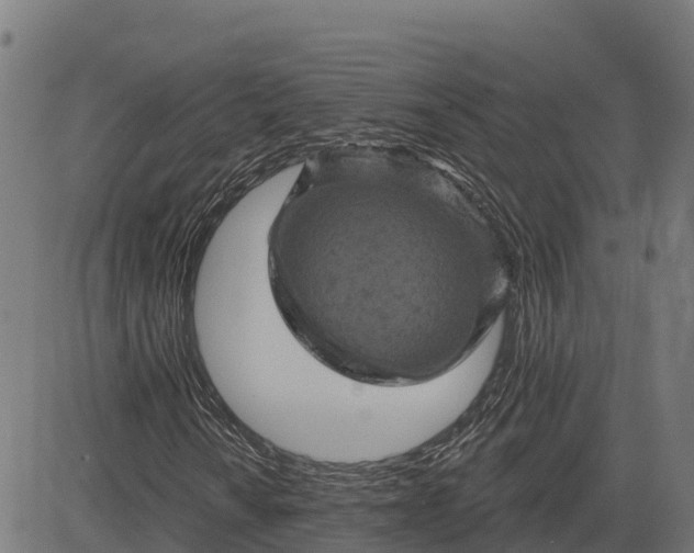 X0000084561010200703091739