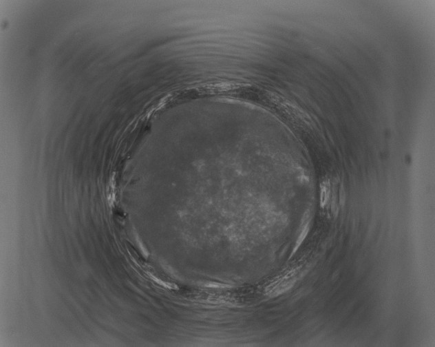 X0000084561011200703091739