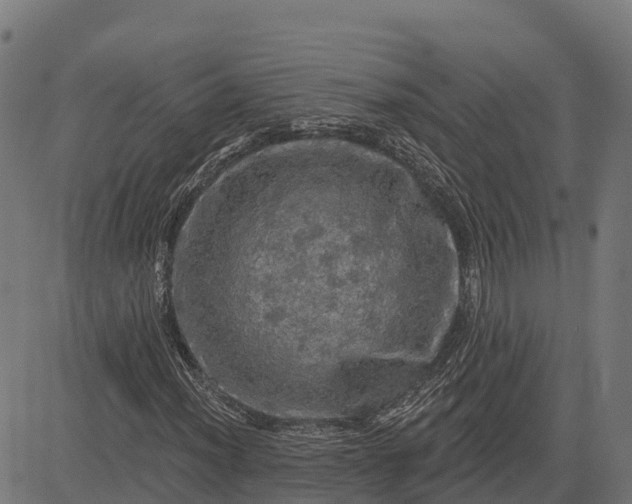 X0000084561012200703091739