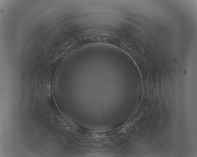 X0000084561013200703091739