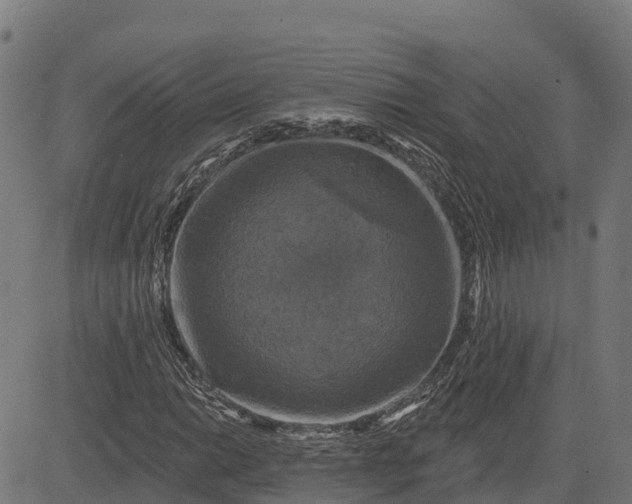 X0000084561014200703091739