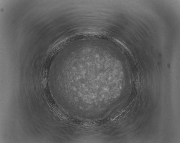 X0000084561015200703091739