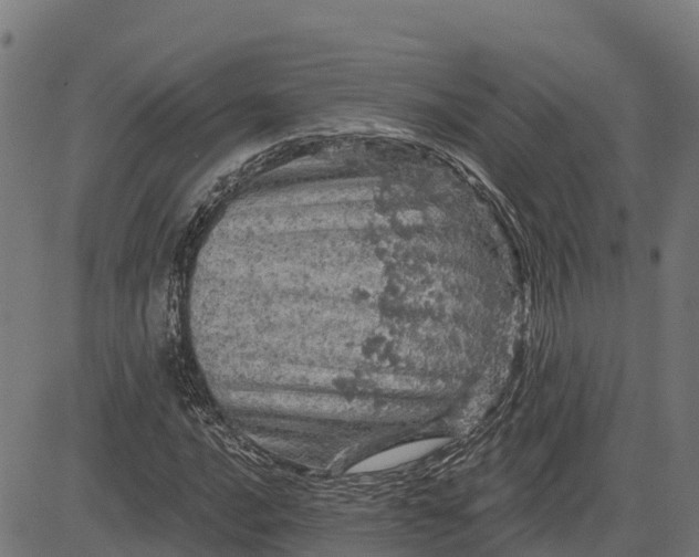 X0000084561016200703091739